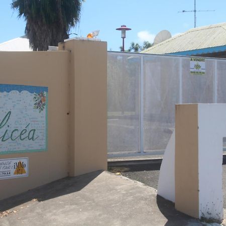 Les Aliceas Appartement Cosy Baie-Mahault Luaran gambar